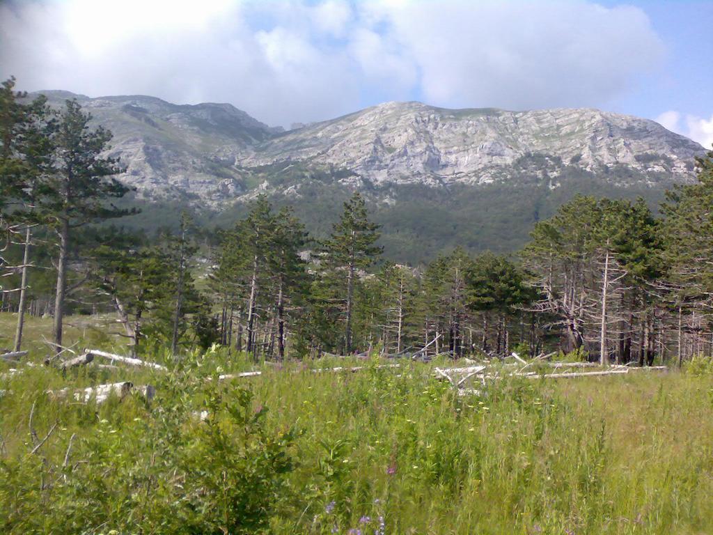 Apartments Lana Starigrad Paklenica Bagian luar foto