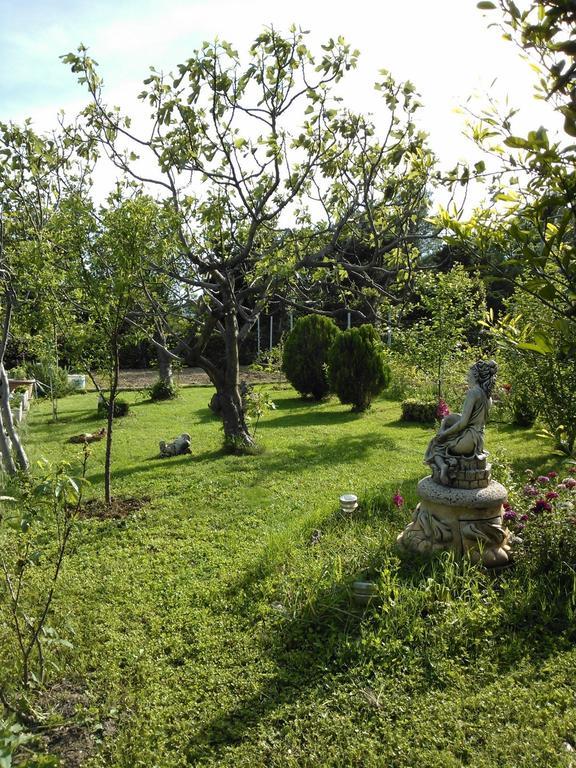 Apartments Lana Starigrad Paklenica Bagian luar foto